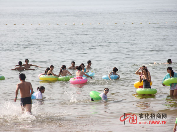 �����ґ�