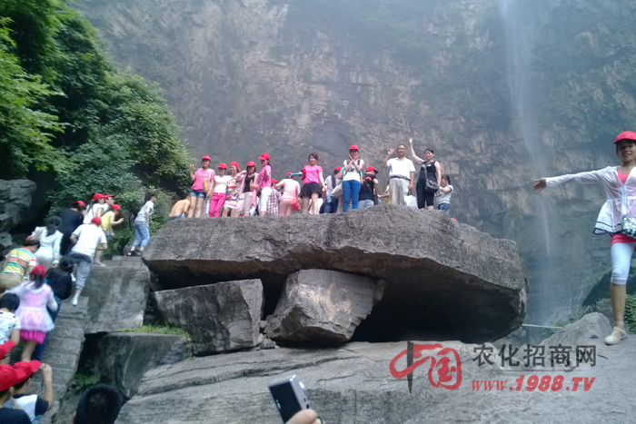 ���_(t��i)����Ӱ