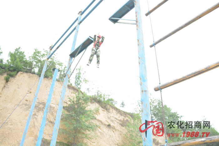 ��Щ����ֻ���ǲ����нY(ji��)������ֻ�����˲�֪���Լ��ɲ�����