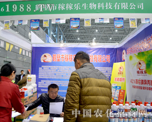 �Q���мڼژ�(l��)��2015ȫ��(gu��)ֲ����(hu��)���F(xi��n)ͻ��