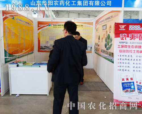 ɽ�|�A�(y��ng)�r(n��ng)ˎ����(zh��n)2015�ӱ�ֲ����(hu��)