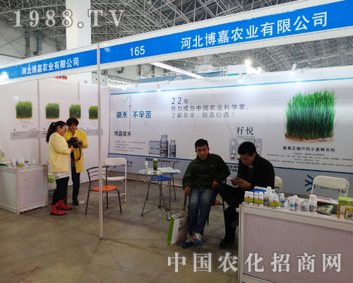 ���Ξ�2015�ӱ�ֲ����(hu��)�������