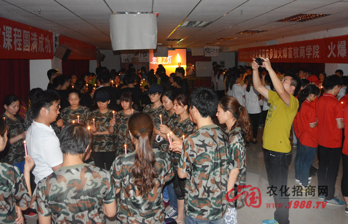 2015����𱬃�(n��i)����Ӗ(x��n)