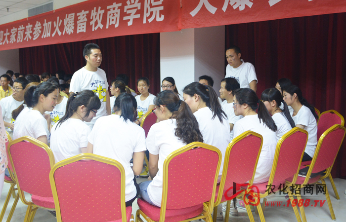 ��˾��(n��i)Ӗ(x��n)�ĸ������