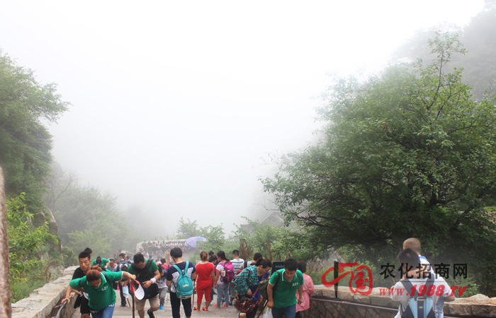 ̩ɽ֮�p��ɽ�����h