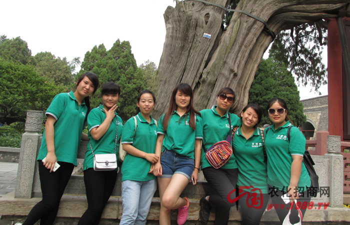 ���̩ɽ����һ�ӵĸ���