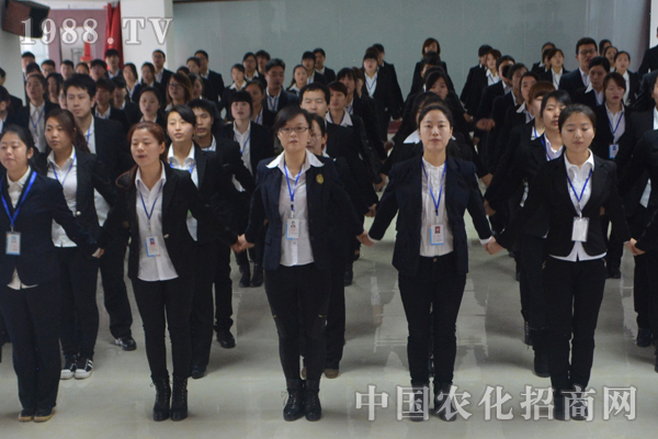 �F(xi��n)�ڲ�����������������