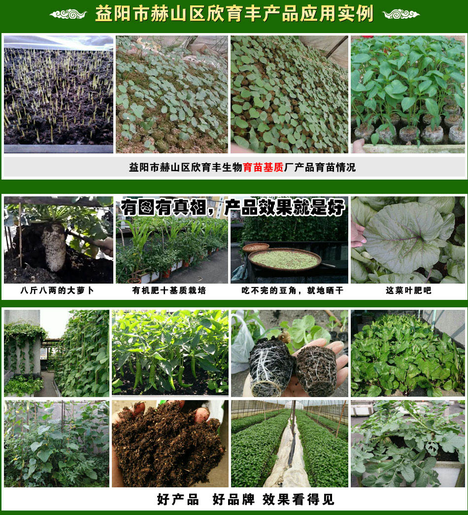 益陽市赫山區(qū)欣育豐生物育苗基質(zhì)廠