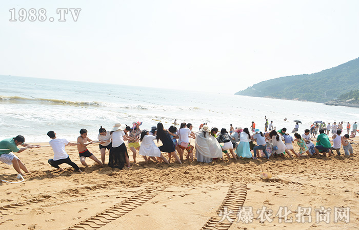 �泯�󺣣����L(f��ng)���--ӛ����֮��