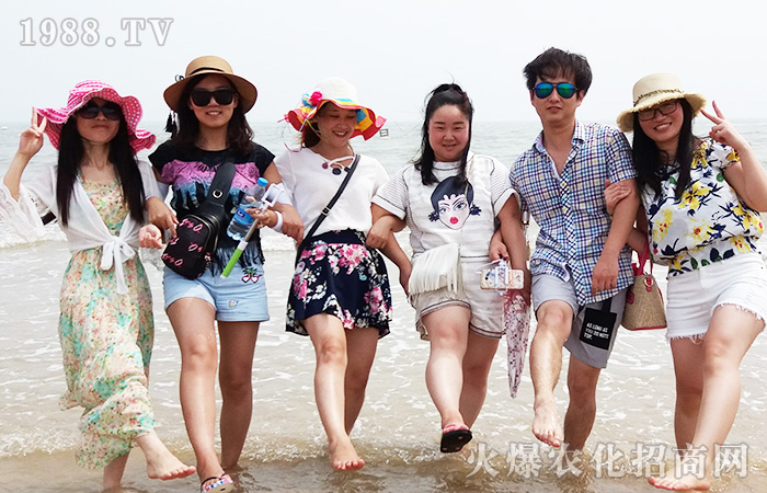 �泯�������w��