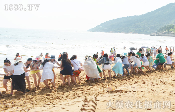 �泯�������w��