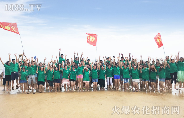 ���ܴ������w������