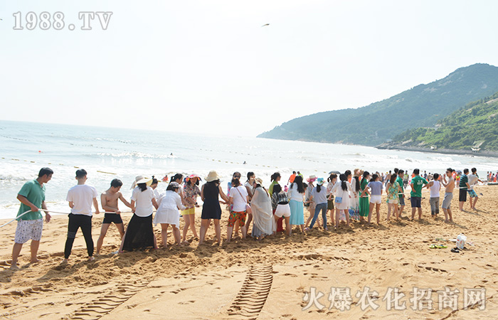 ���ܴ󺣣����w����