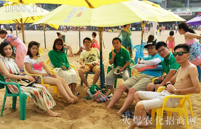 ���M(j��n)�B�Ƹۣ������������w����