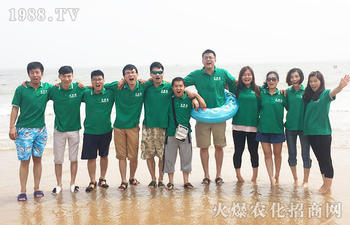 ������ �P(y��ng)����