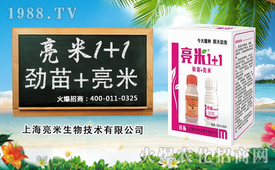 ����������x���yȫ�w�T��ף������옷���u��󼪡��H�Қg����