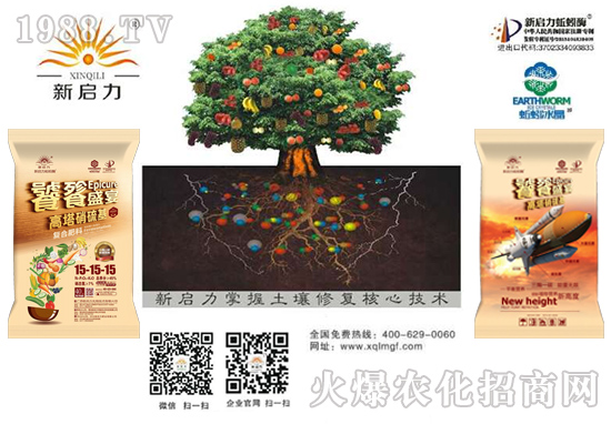 ���V�����������R����u�꼪�飬�����d¡������������