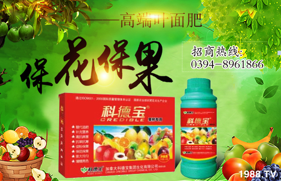 ���ô�Ƶ����F�������޹�˾2