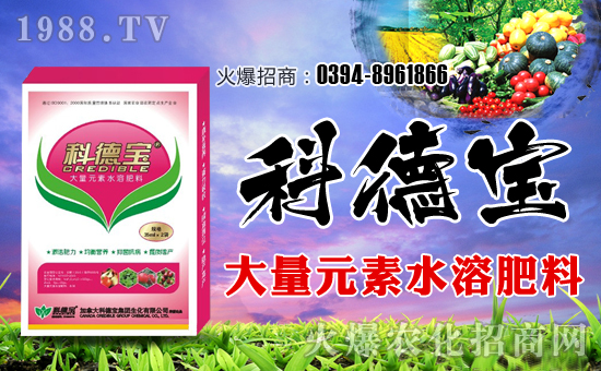 ���ô�Ƶ����F�������޹�˾