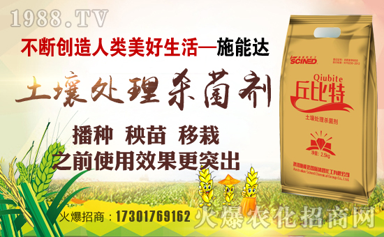 ����ʩ���_�������F���޹�˾1