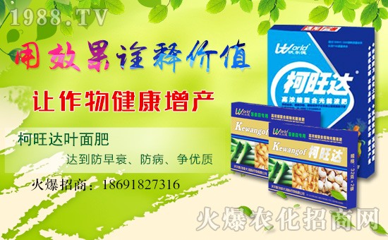 �֠��£����ô󣩇�(gu��)�H�������޹�˾