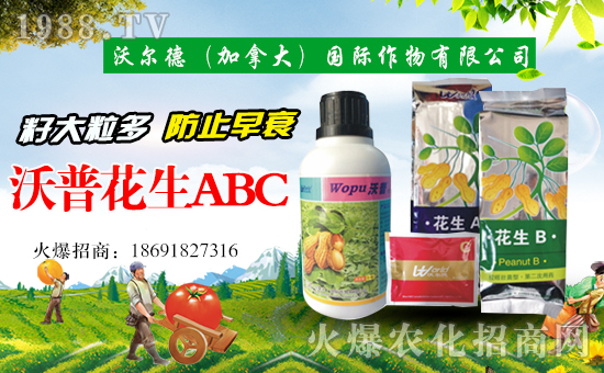 �֠��£����ô󣩇�(gu��)�H�������޹�˾3