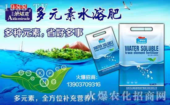 �������_(d��)��(gu��)�Hֲ�ﱣ�o(h��)���F(tu��n)���޹�˾