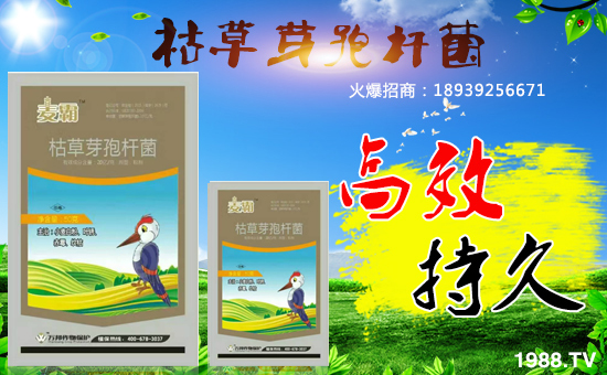 �������f(w��n)������o�V��͑������ˣ�ף����u��������\(y��n)�B�B��