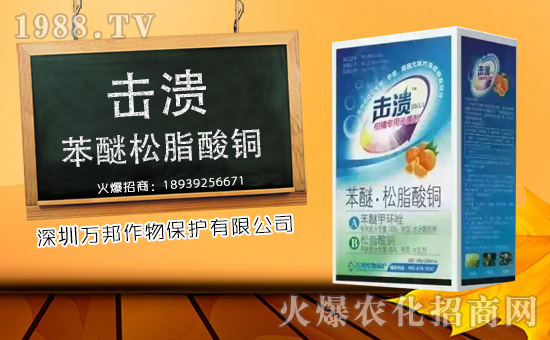 �������f(w��n)������o�V��͑������ˣ�ף����u��������\(y��n)�B�B��