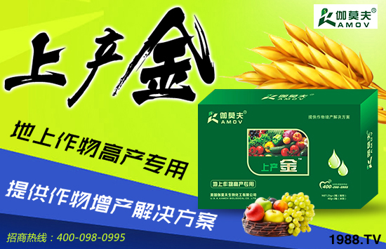 ������(gu��)٤Ī�������ȫ��(gu��)�����������