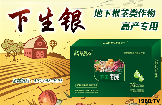 ������(gu��)٤Ī�������ȫ��(gu��)�����������