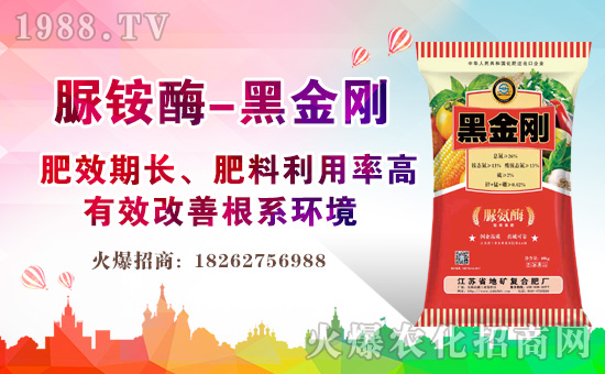 ���Kʡ�صV�ͺϷʏS1