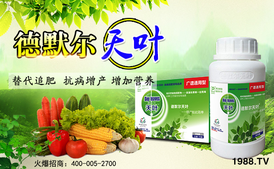 ��(gu��)��Ĭ������I(y��ng)�B(y��ng)��˾3