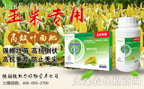 ��(gu��)��Ĭ������I(y��ng)�B(y��ng)��˾1