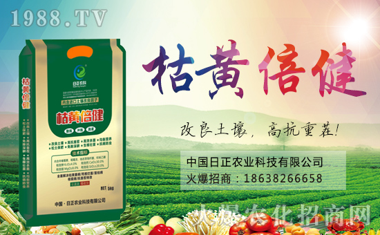 �������r(n��ng)�ơ�Ը���_���^������ؔԴ�L�L����