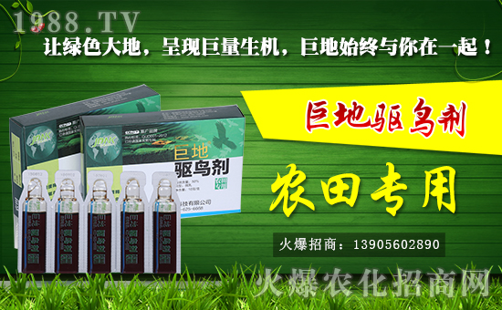 ���վ޵��r(n��ng)�I(y��)�Ƽ����޹�˾