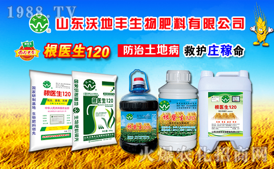 ɽ�|�ֵ��S����������޹�˾