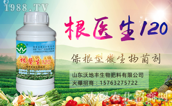 ɽ�|�ֵ��S����������޹�˾1