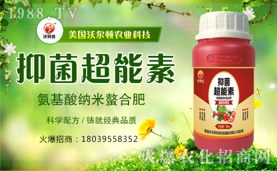 ������(gu��)�֠��D����ף�������옷(l��)���f(w��n)��������