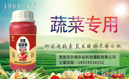 ������(gu��)�֠��D����ף�������옷(l��)���f(w��n)�����⣡