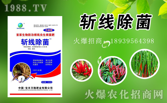 ���S�f(w��n)¡ȫ�w�T��ף����������