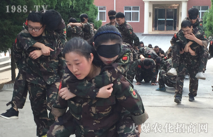 ��֮��������������