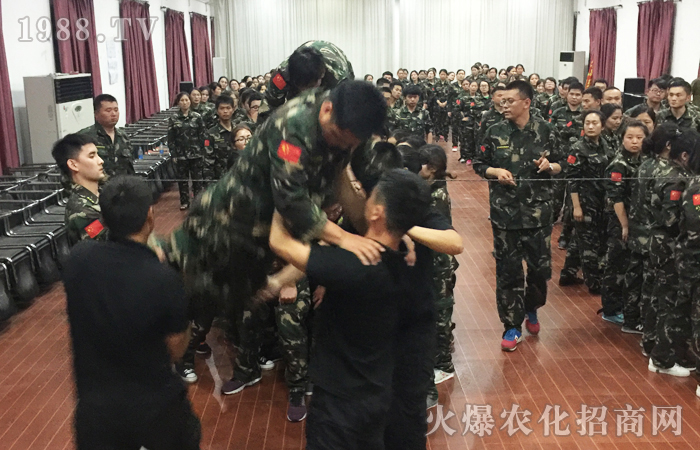 2017�����X����Ӗ(x��n)���Y(ji��)