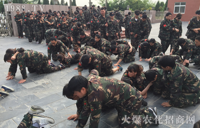  ��Ӗ�����w�������w������������������빤��