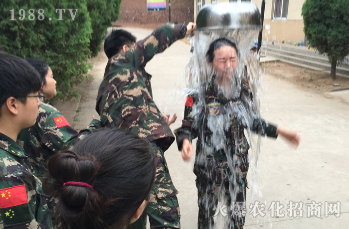 ˺���˺�������ȥ�������ܳɾ͸��õ��Լ���