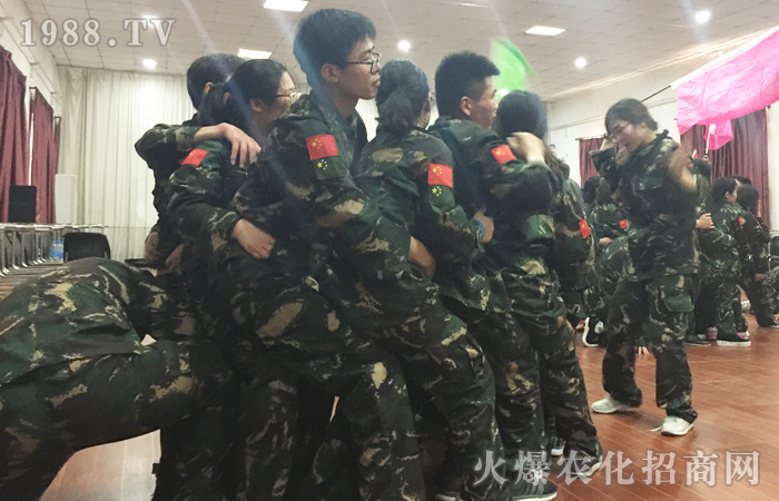 ����ȫ���Ը�������