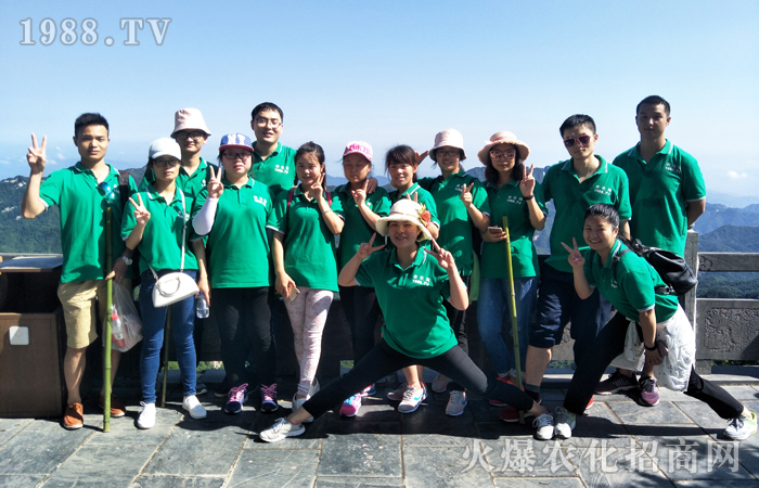 ���ŗ� ���п���