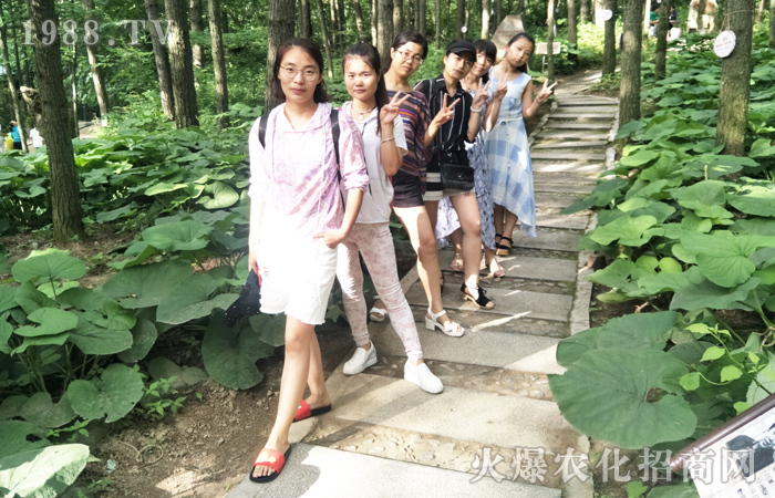 �o������ ���_(d��)�K�c