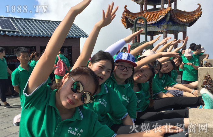 ����������w�P(y��ng)