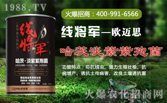 ���W�~˼��ȫ�w�T����ףȫ��(gu��)��(j��ng)�N�����w���������꼪�飡